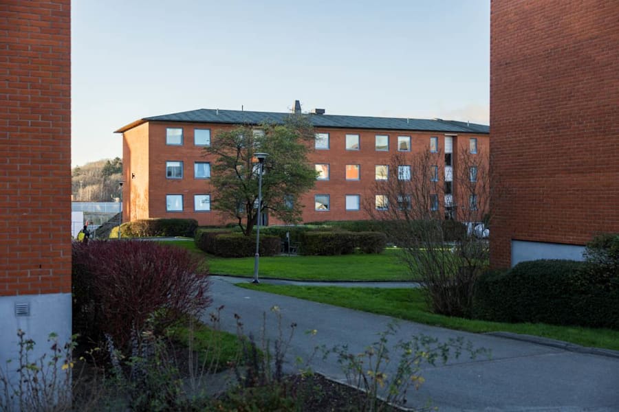 Pilegården 5 C - image - 3