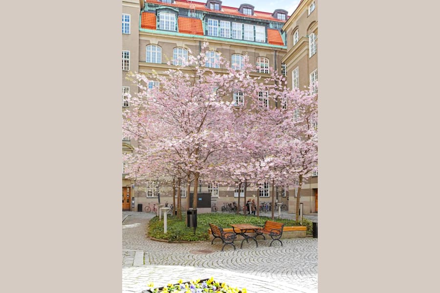 Butikslokal på Artillerigatan 62 A, Stockholm – bild 12