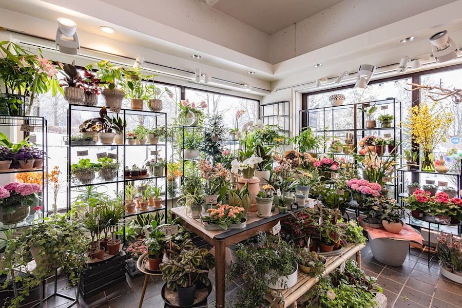 Blomsterbutik Dalen Centrum - 2026-02-25-11-25-07-1009-HDR