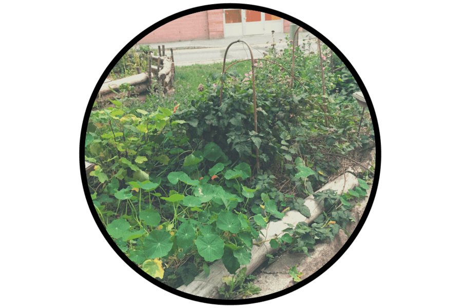 Coworking-plats på Lillåvägen 61, gatuplan baksidan, Bagarmossen – bild 6