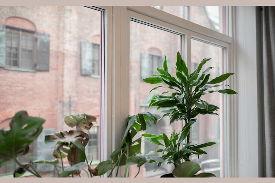 Kronhusgatan 2G  - Vakansa Image