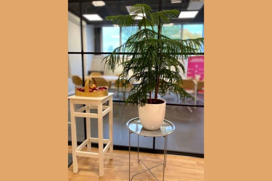 Lokal på Kolavägen 2a, Alingsås – bild 2