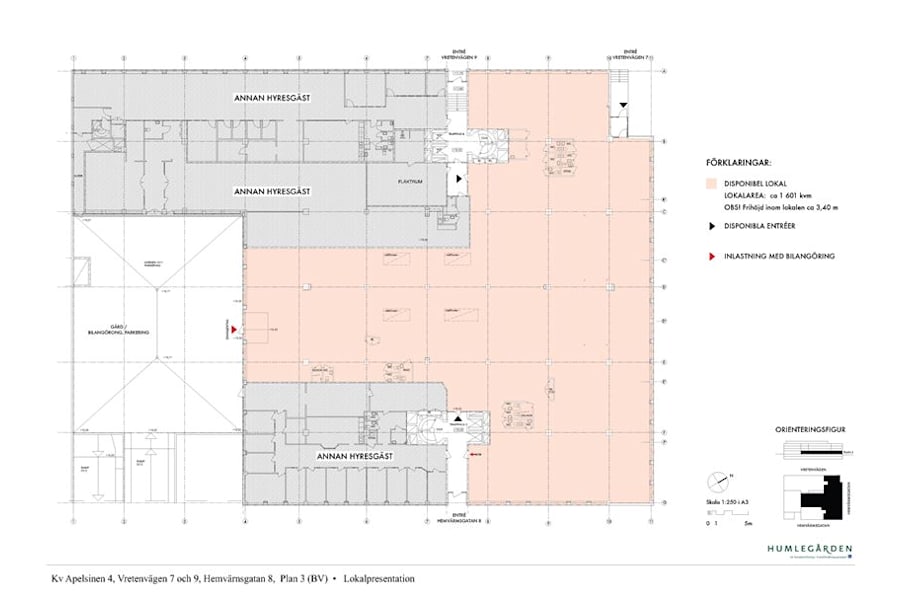Hemvärnsgatan 8 - Planlösning Hemvärnsgatan 8, 1600 kvm plan 3