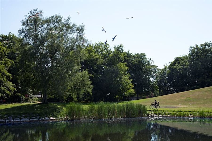 Lokal på Norra Bulltoftavägen 65 A, Malmö – bild 9