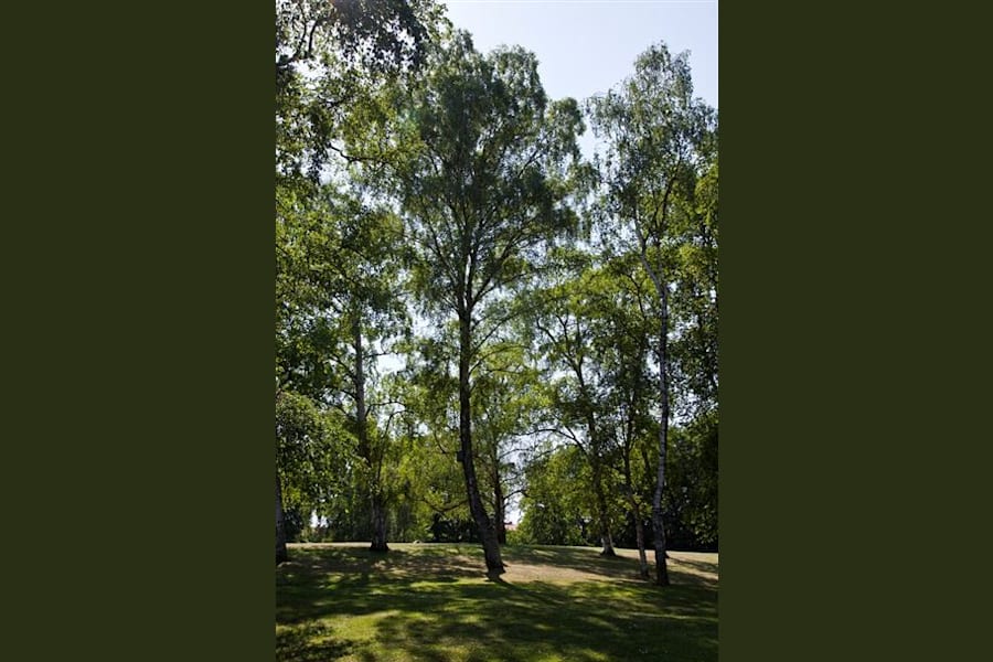 Kontorslokal på Norra Bulltoftavägen 65, Malmö – bild 6