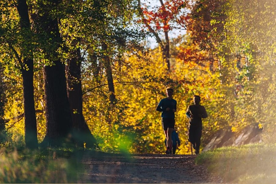 Uddvägen 7 - 11102021-DSC_8171