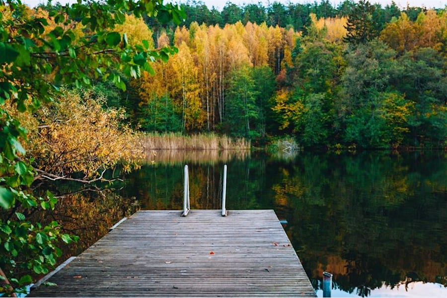 Uddvägen 7 - 11102021-DSC_8313