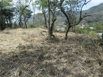Terreno à venda 1.300m2 - Referência TE0024