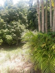 Terreno à venda 4.187m2 - Referência TE0127