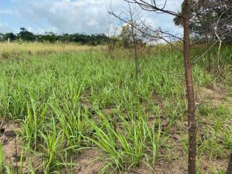 Terreno à venda 13.100m2 - Referência TE0164