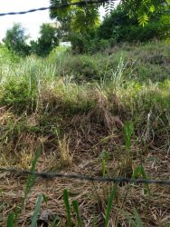 Terreno à venda Niterói RJ 360m2 - Referência TE0182