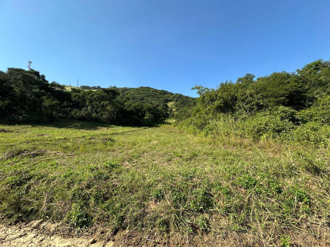 Foto 5 - Terreno Bosque do Peró Cabo Frio RJ