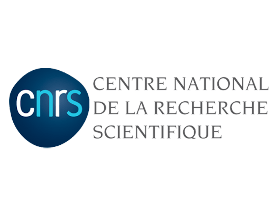 Logo CNRS — Centre national de la recherche scientifique