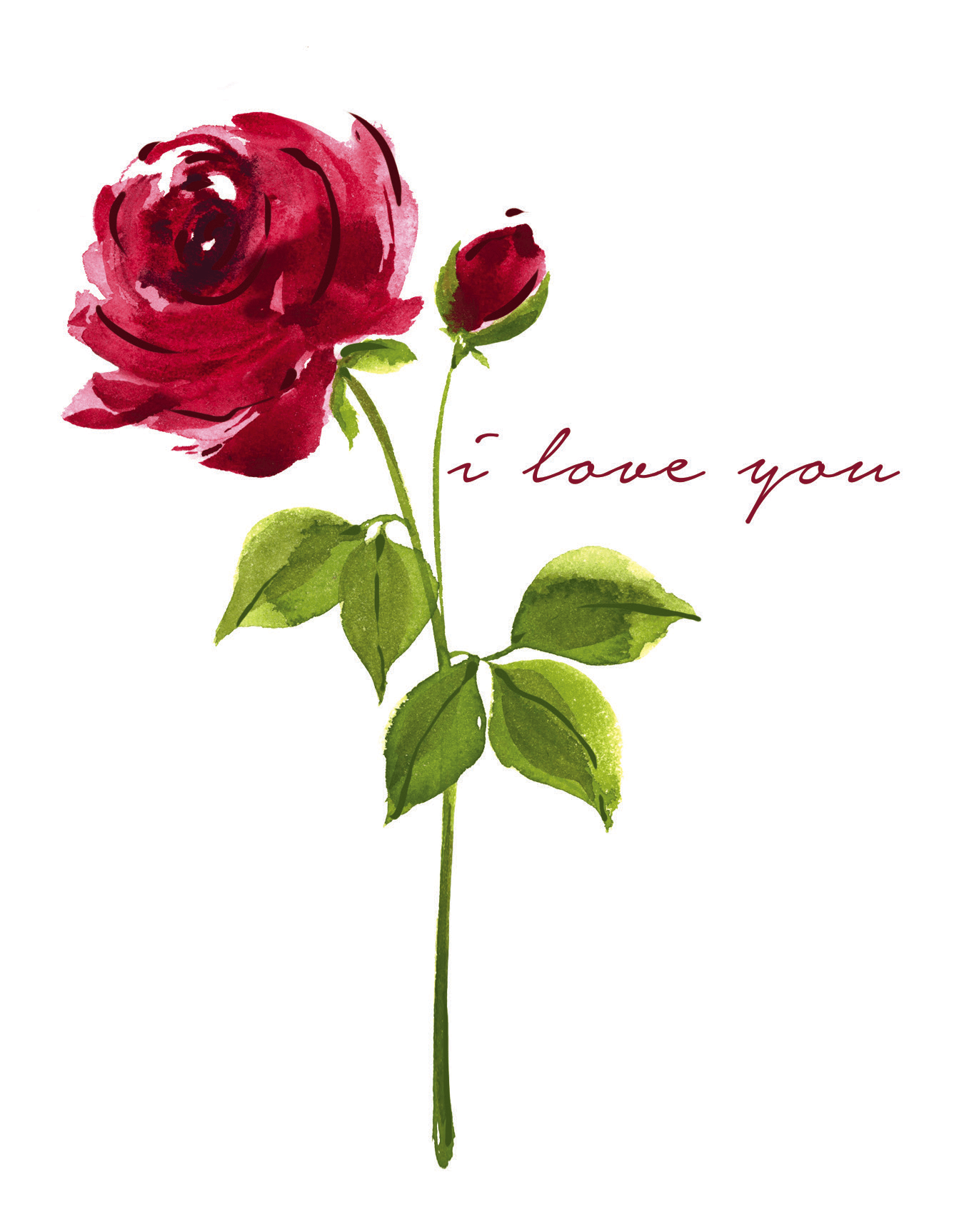 Red Rose Love