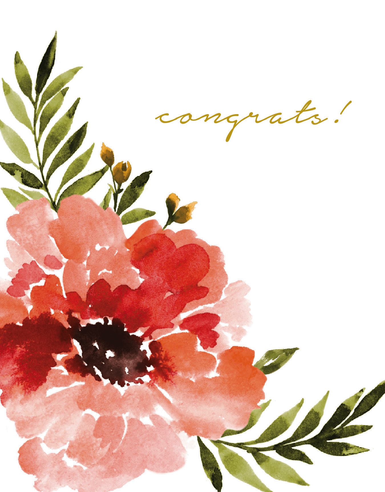 Anemone Congrats