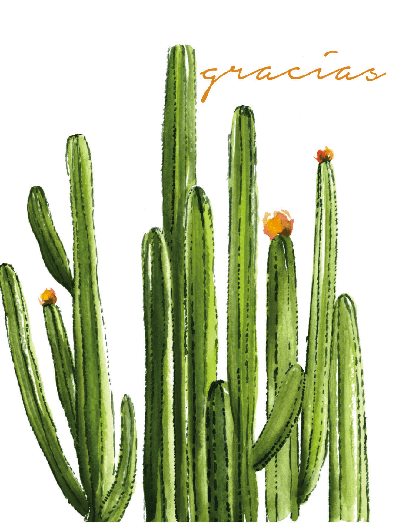 Gracias