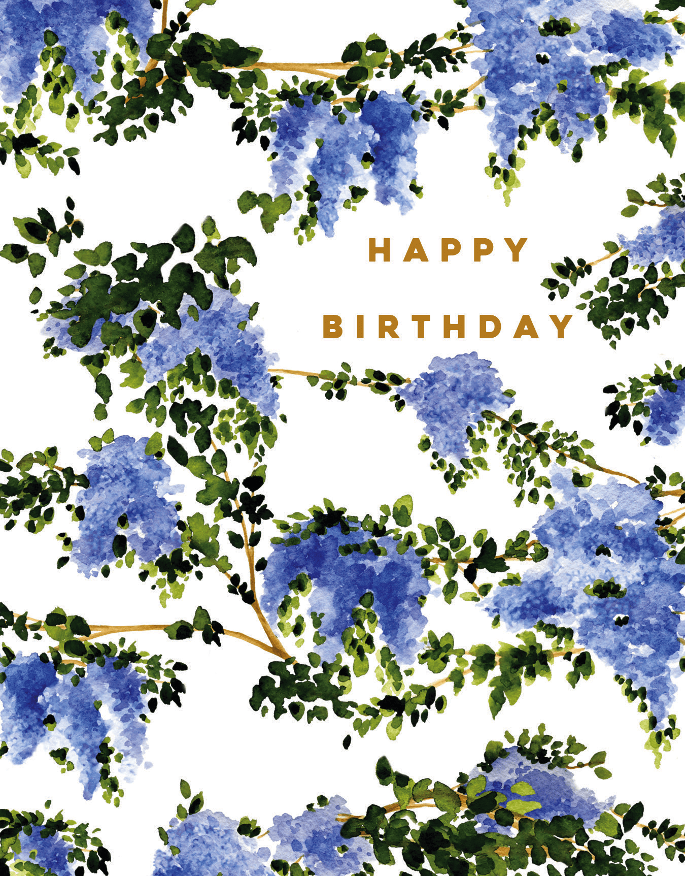 Wisteria Birthday