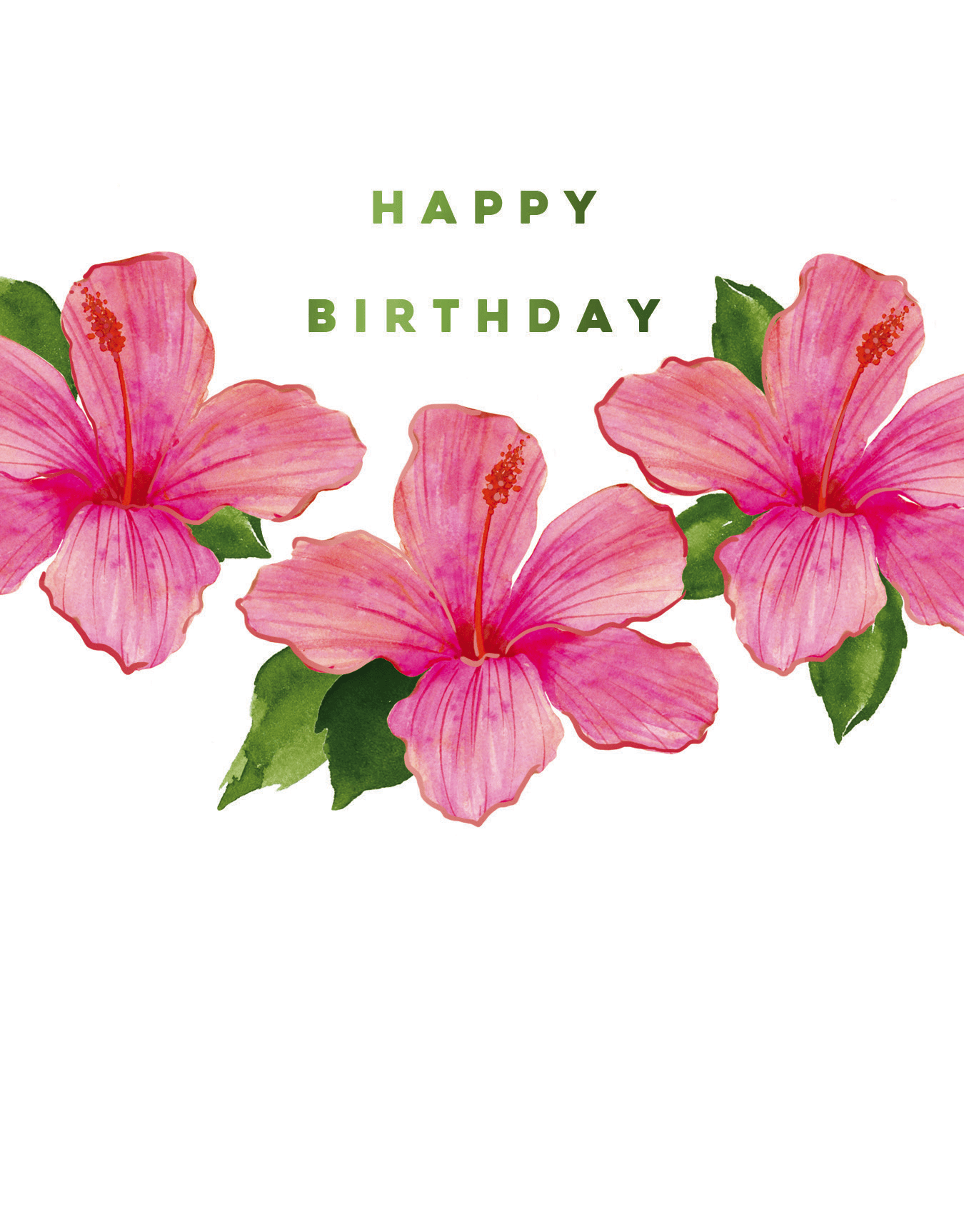Hibiscus Birthday