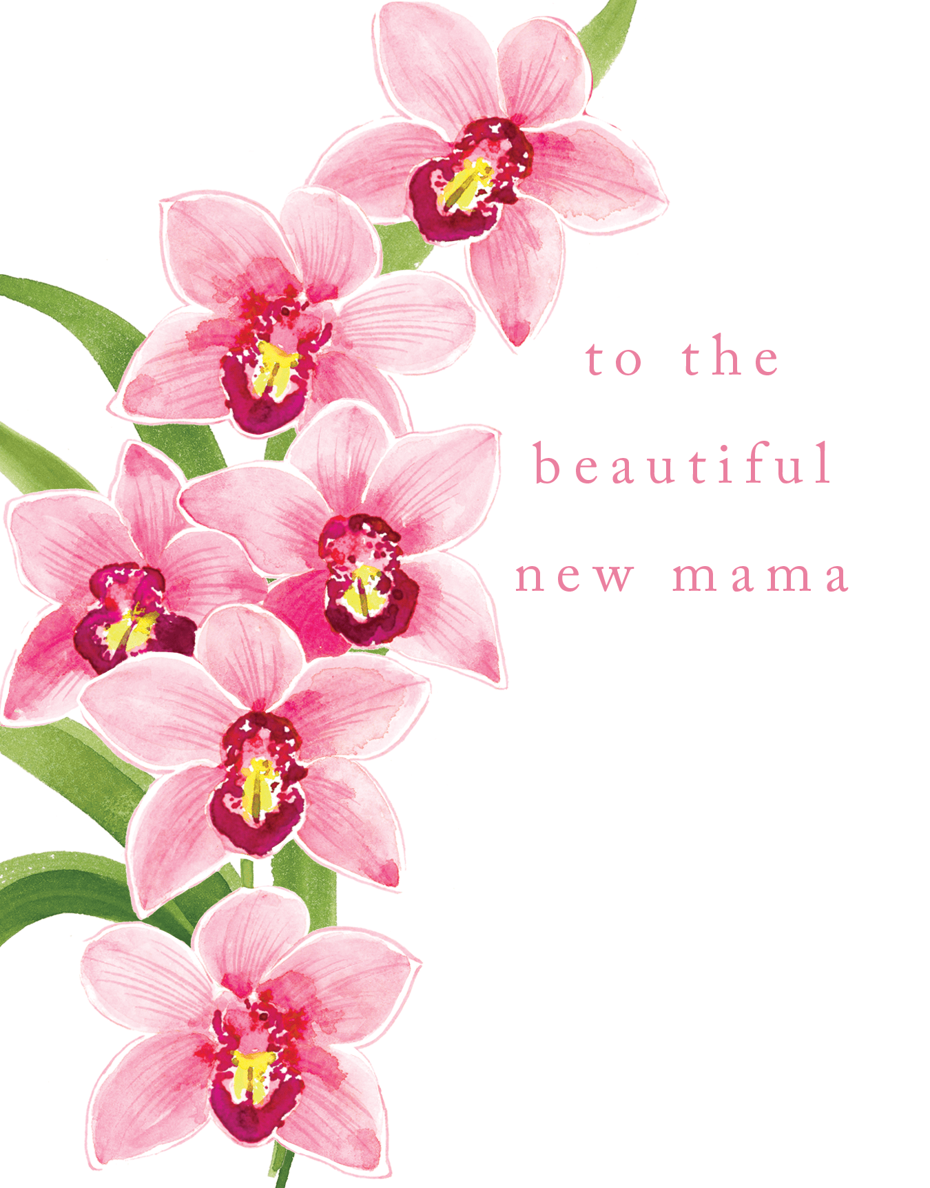 Orchid New Mama