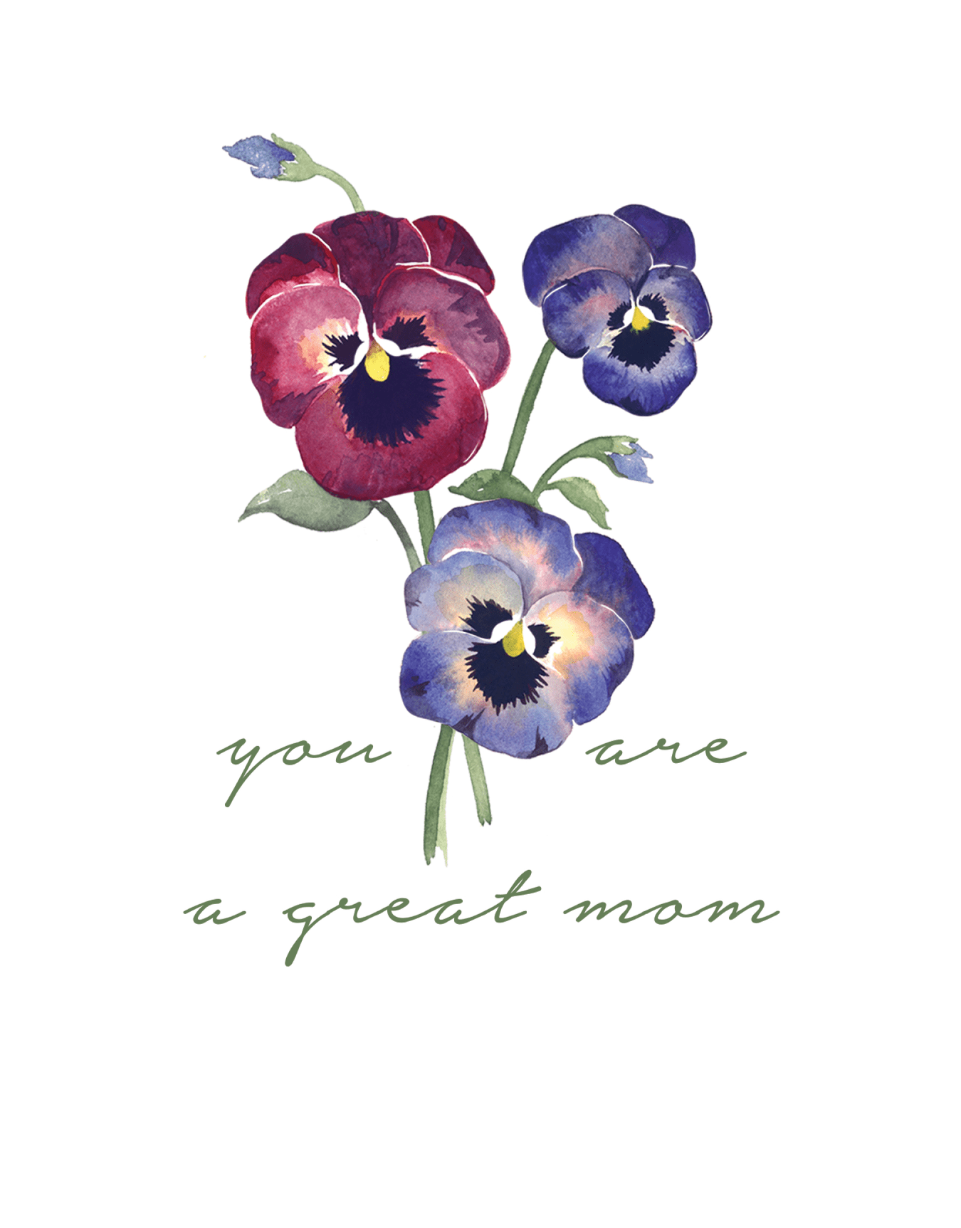 Pansy Great Mom