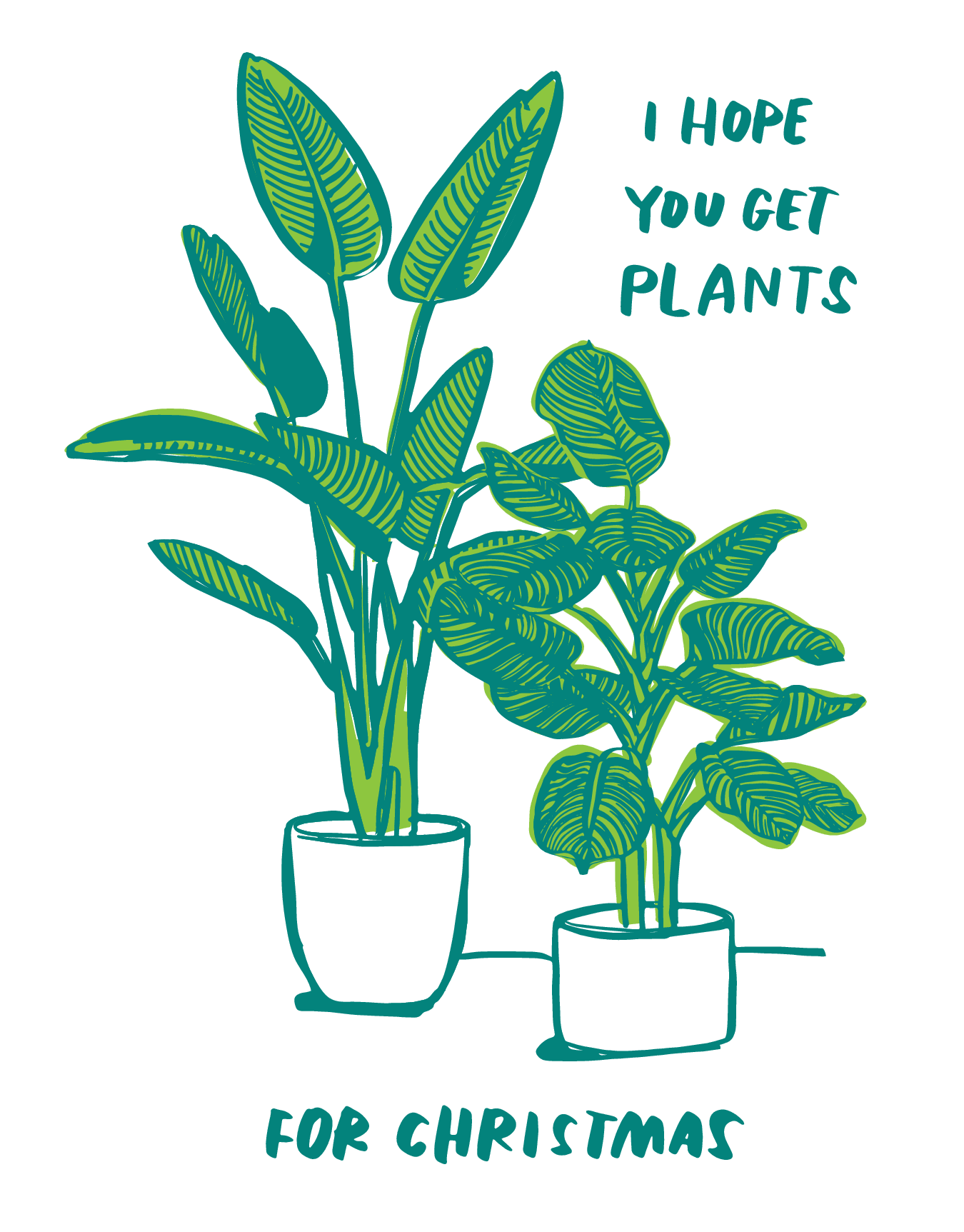 Christmas Plants