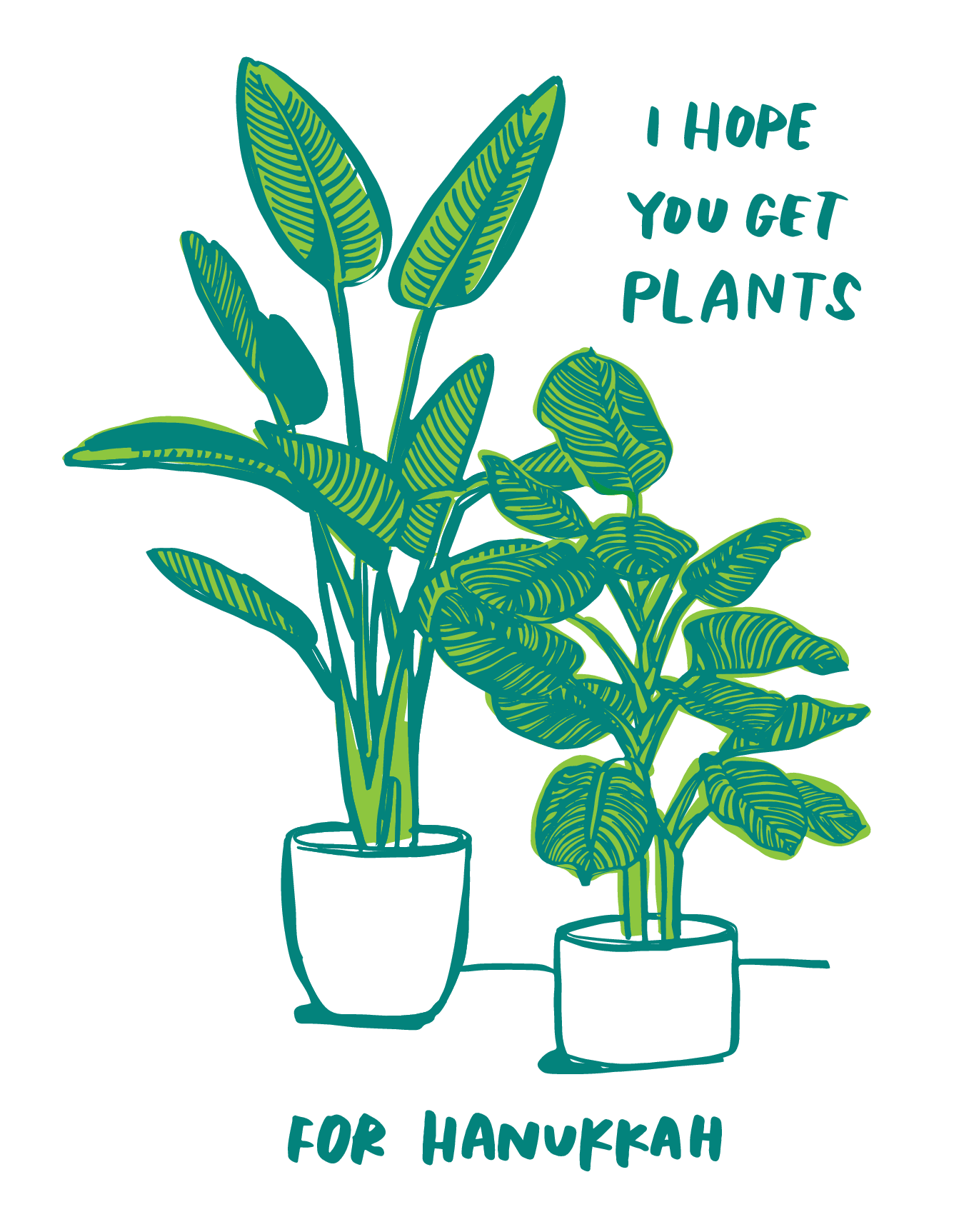 Hanukkah Plants