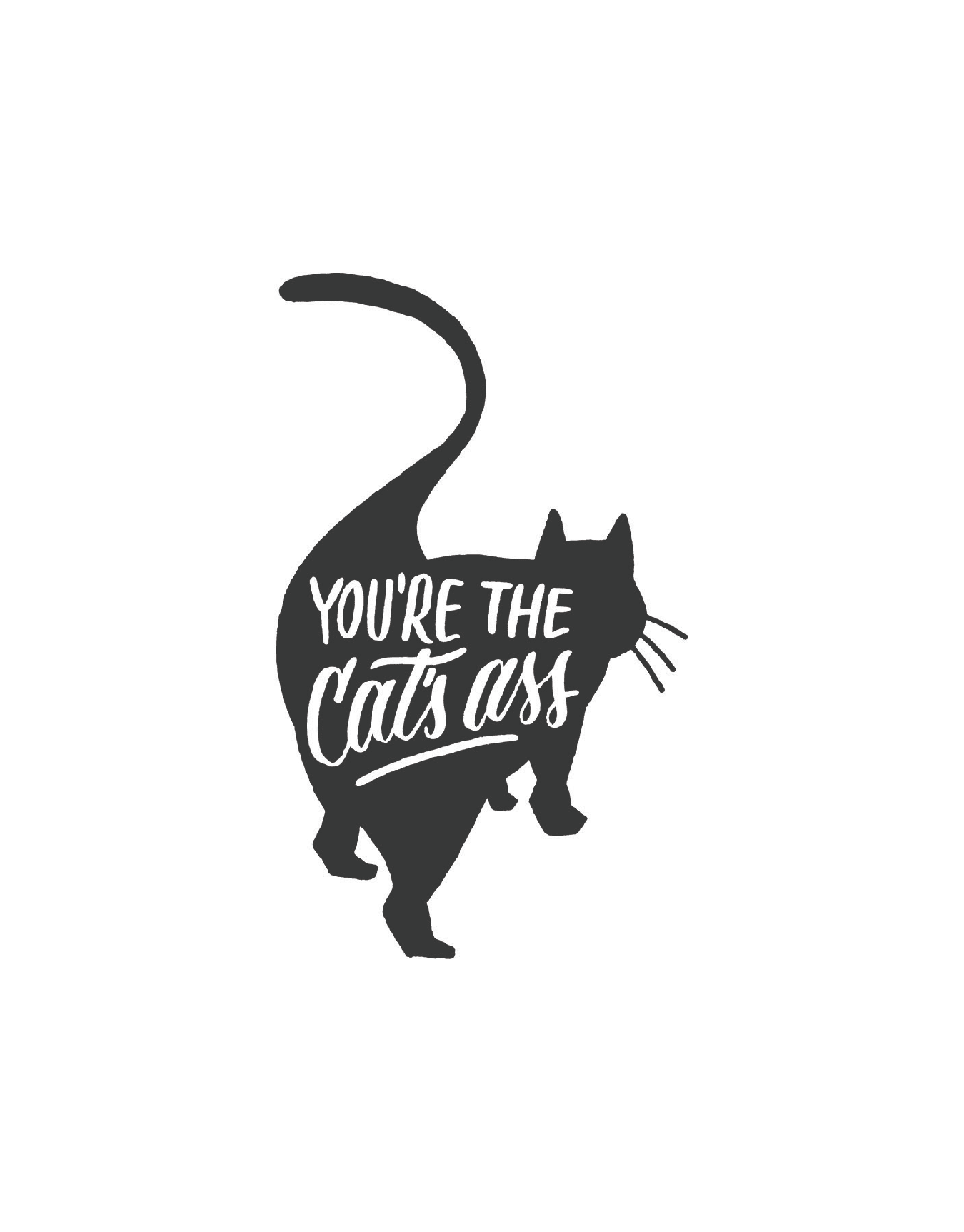 Cat's Ass