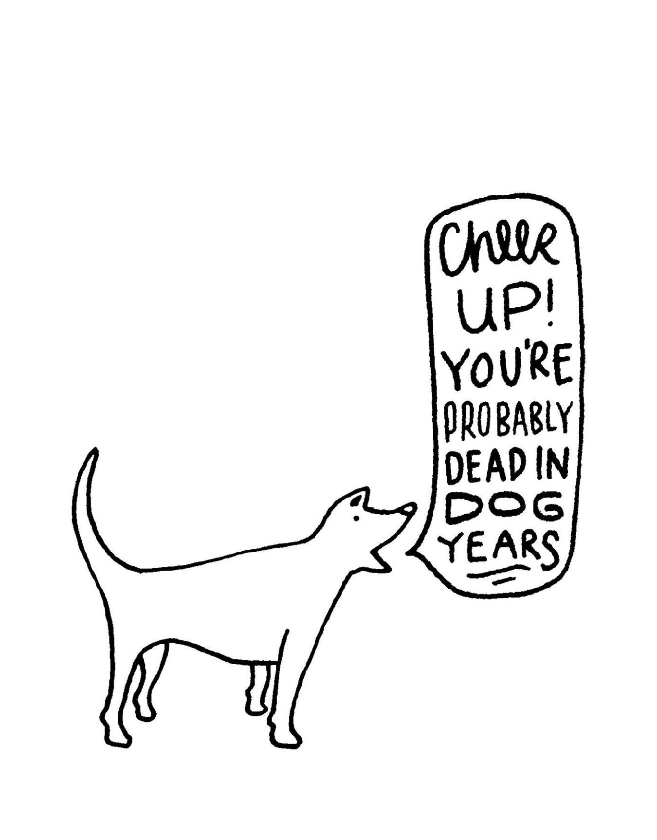 Dog Years