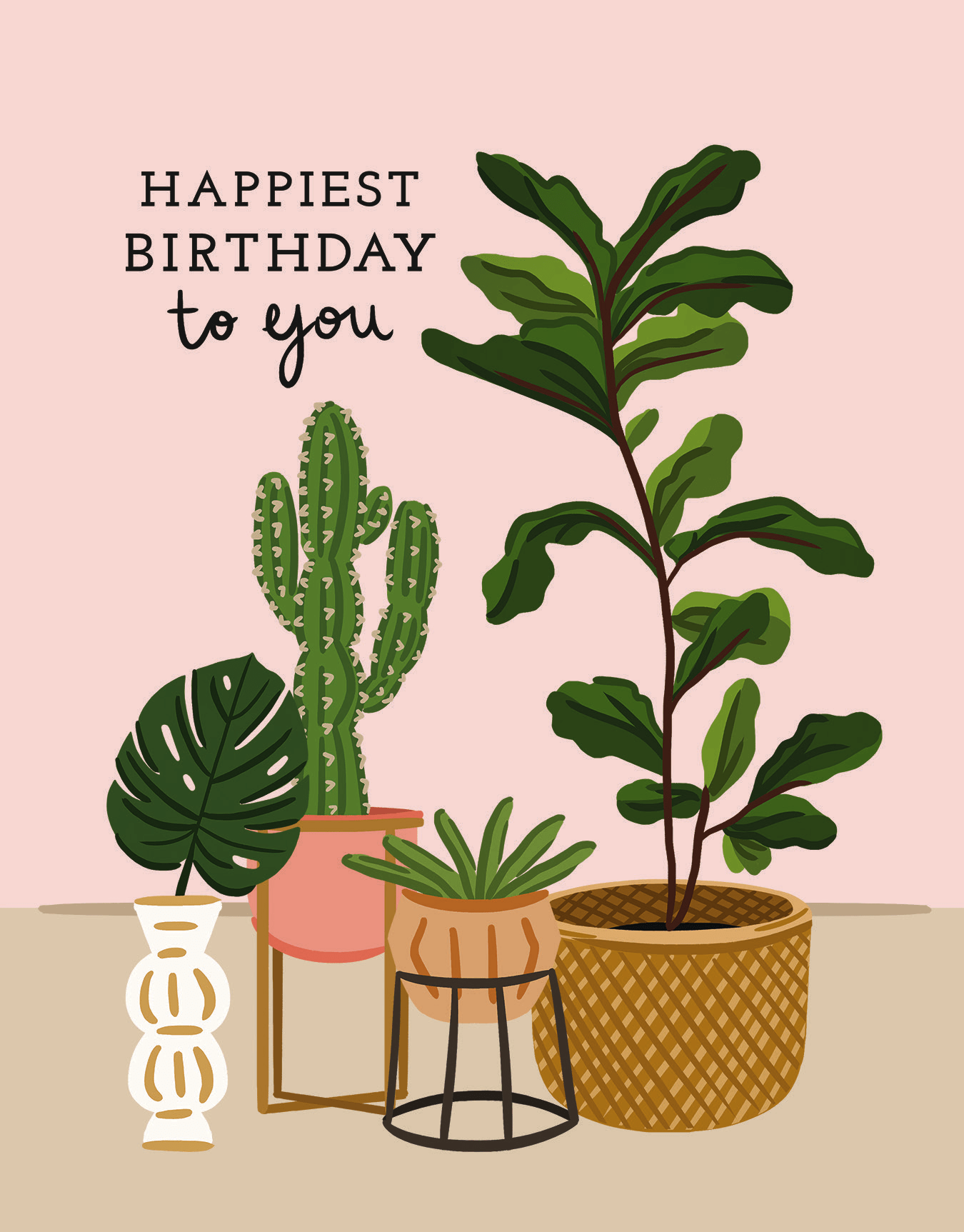 Birthday Houseplants