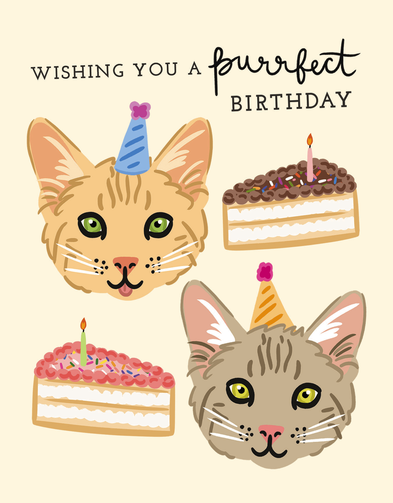Purrfect Birthday