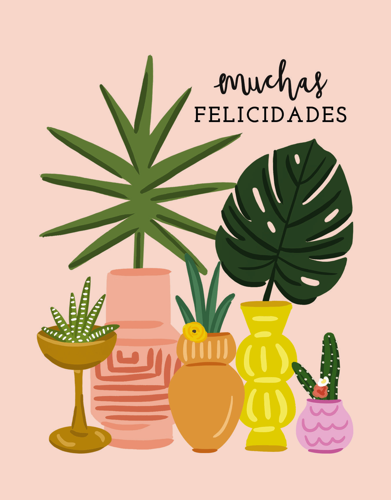 Felicidades Plants