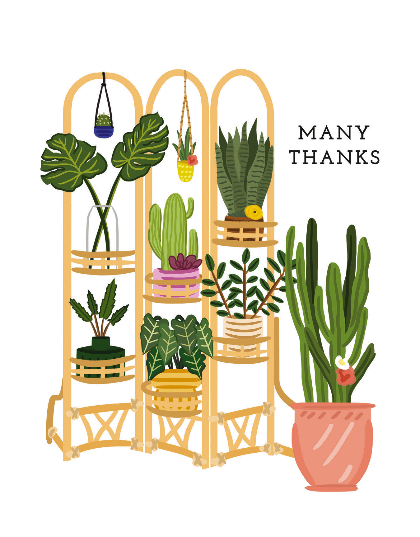 Houseplants Thanks