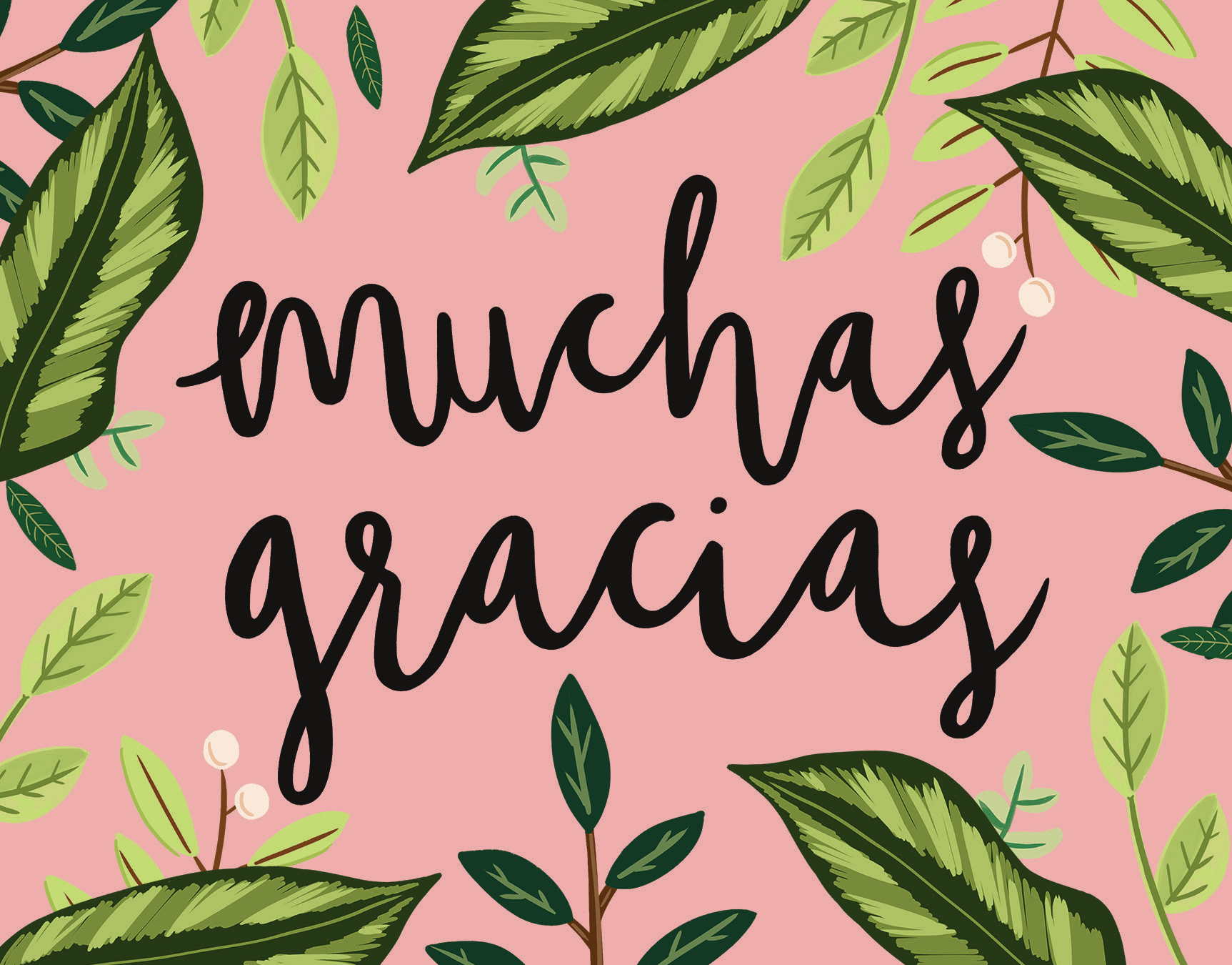 Muchas Gracias