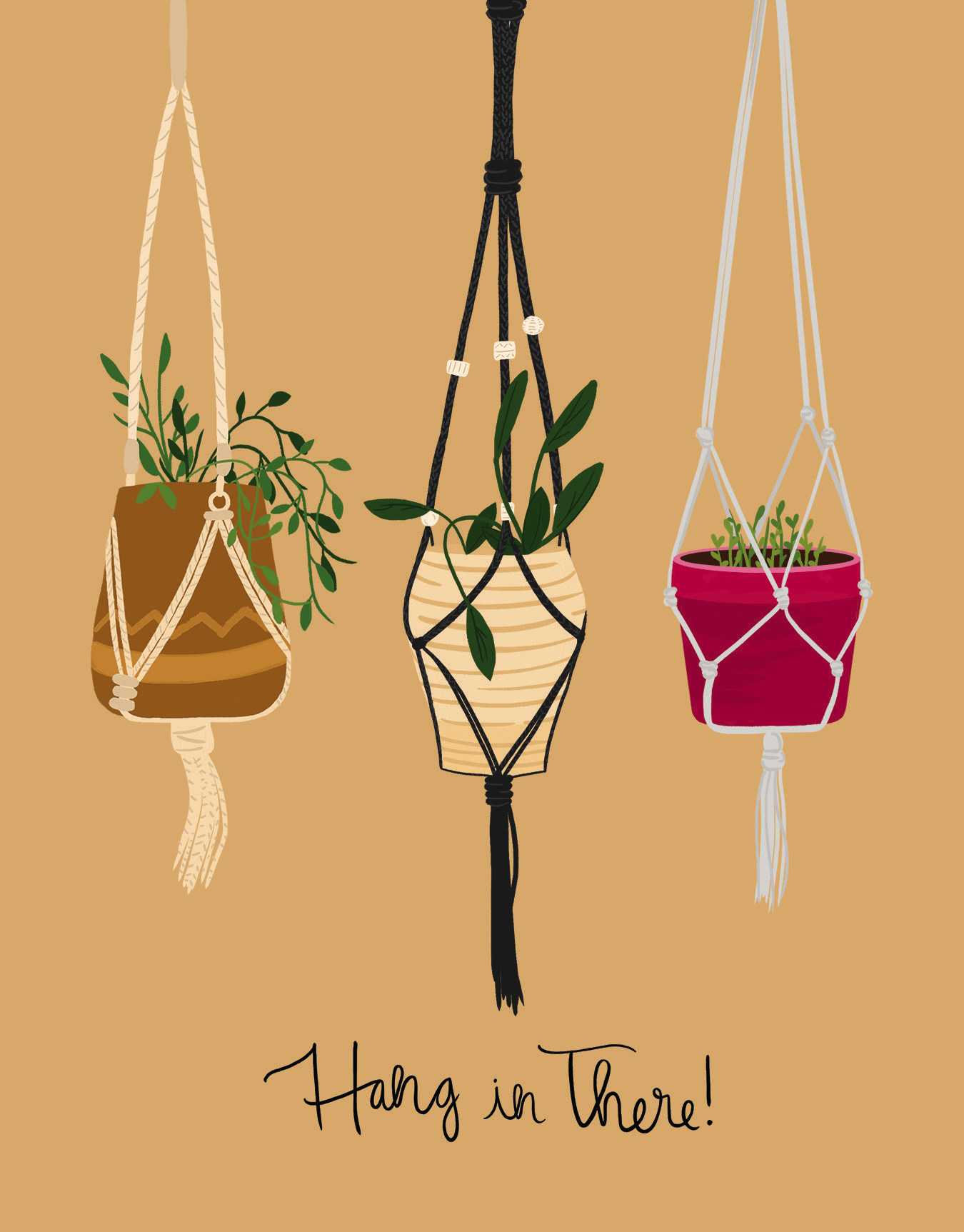 Hang In There