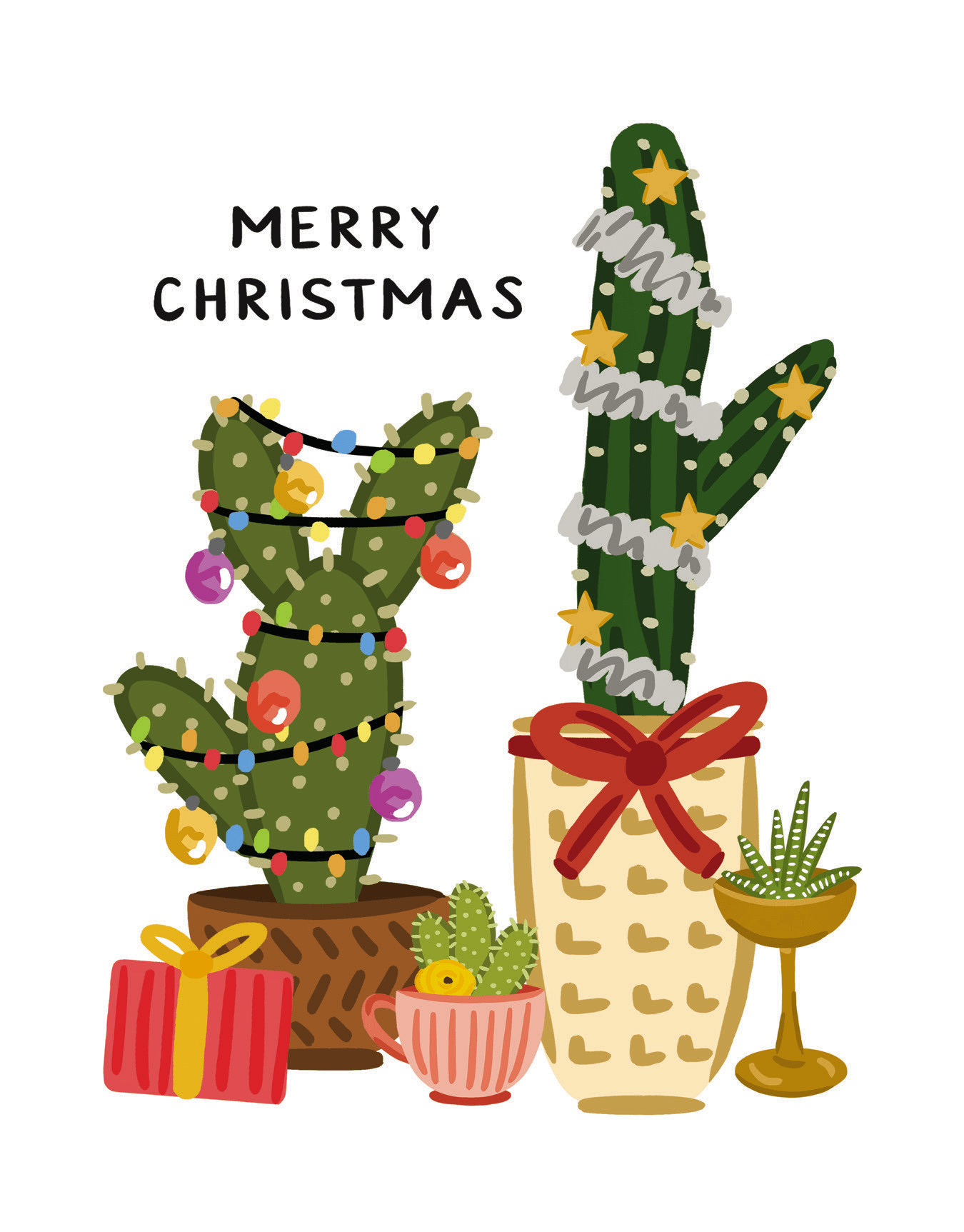 Christmas Cacti