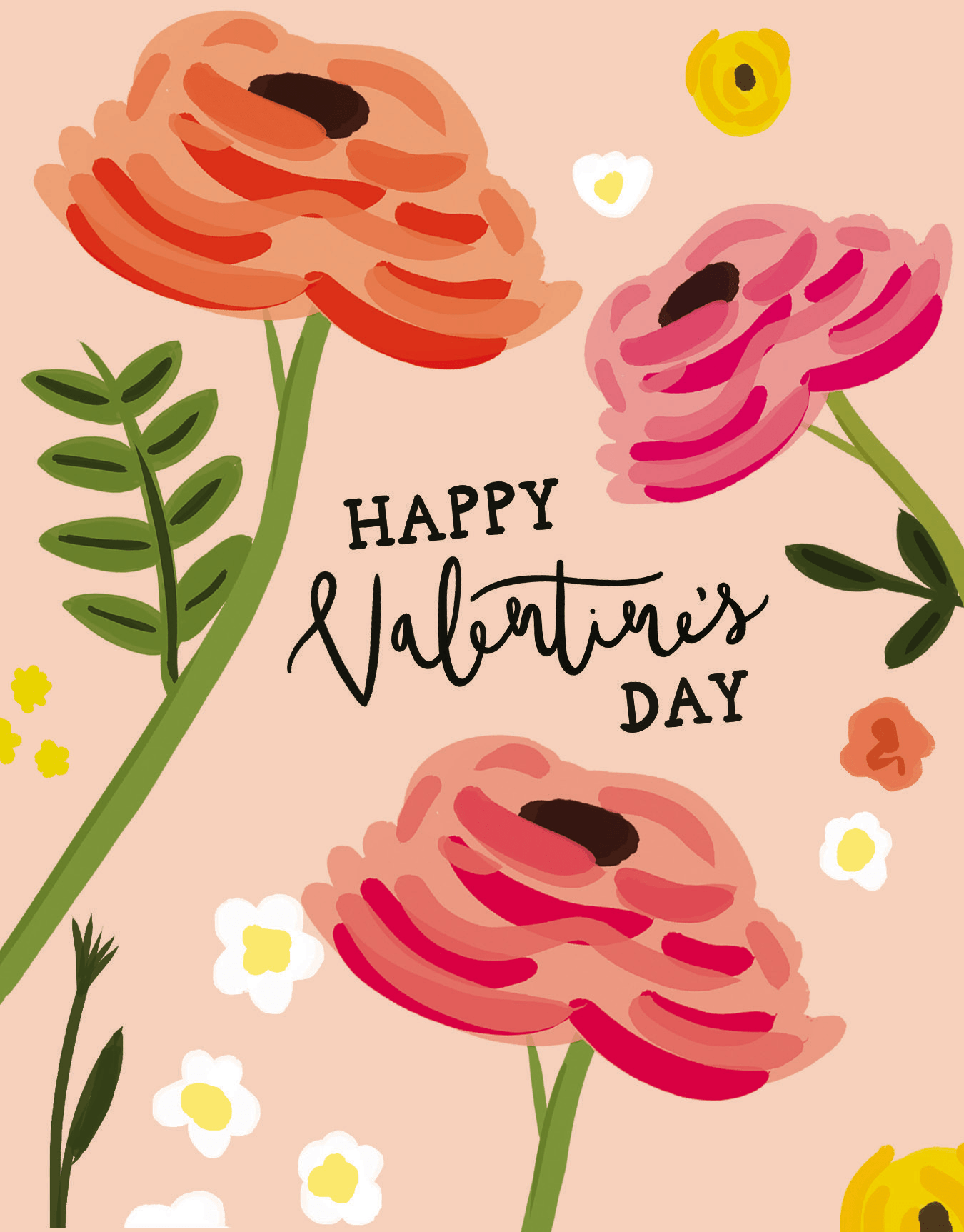 Valentine's Day Roses