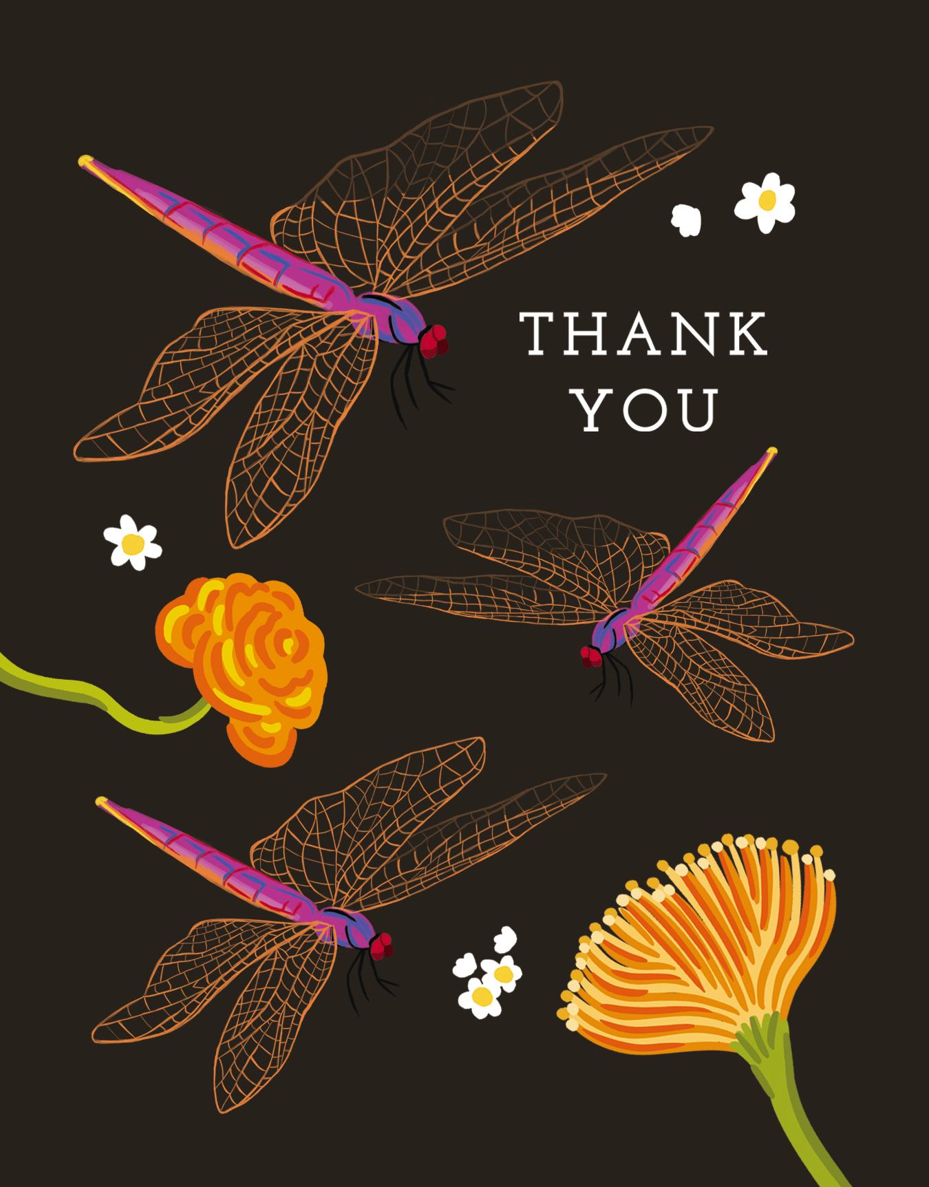 Dragonfly Thanks
