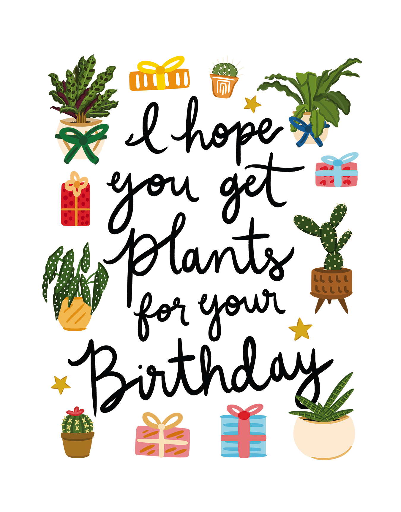 Plants For Birthday
