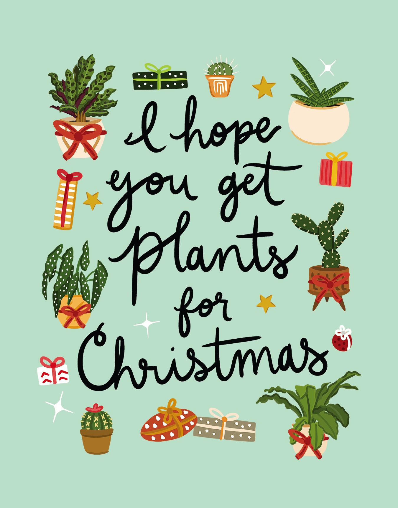 Plants For Christmas