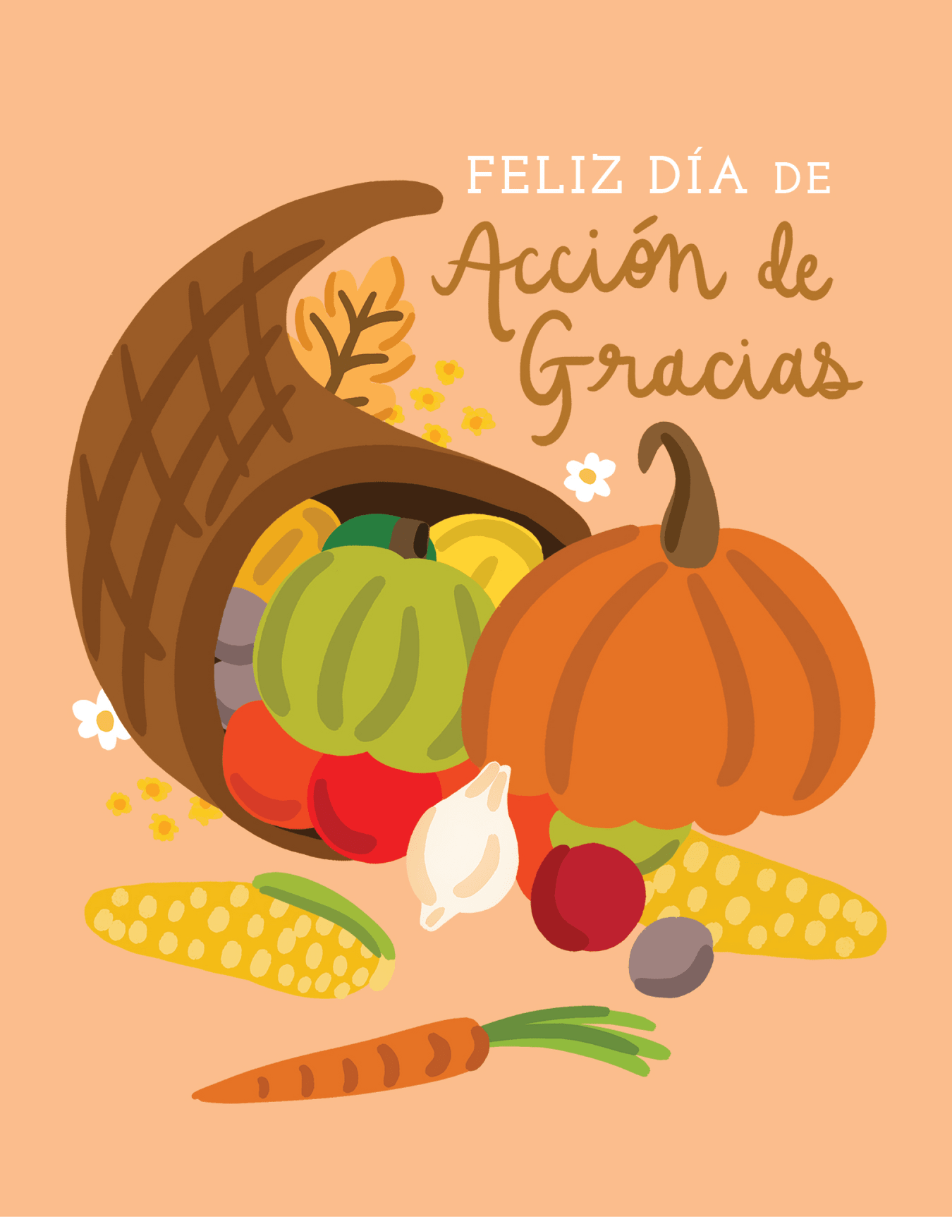 Accion De Gracias