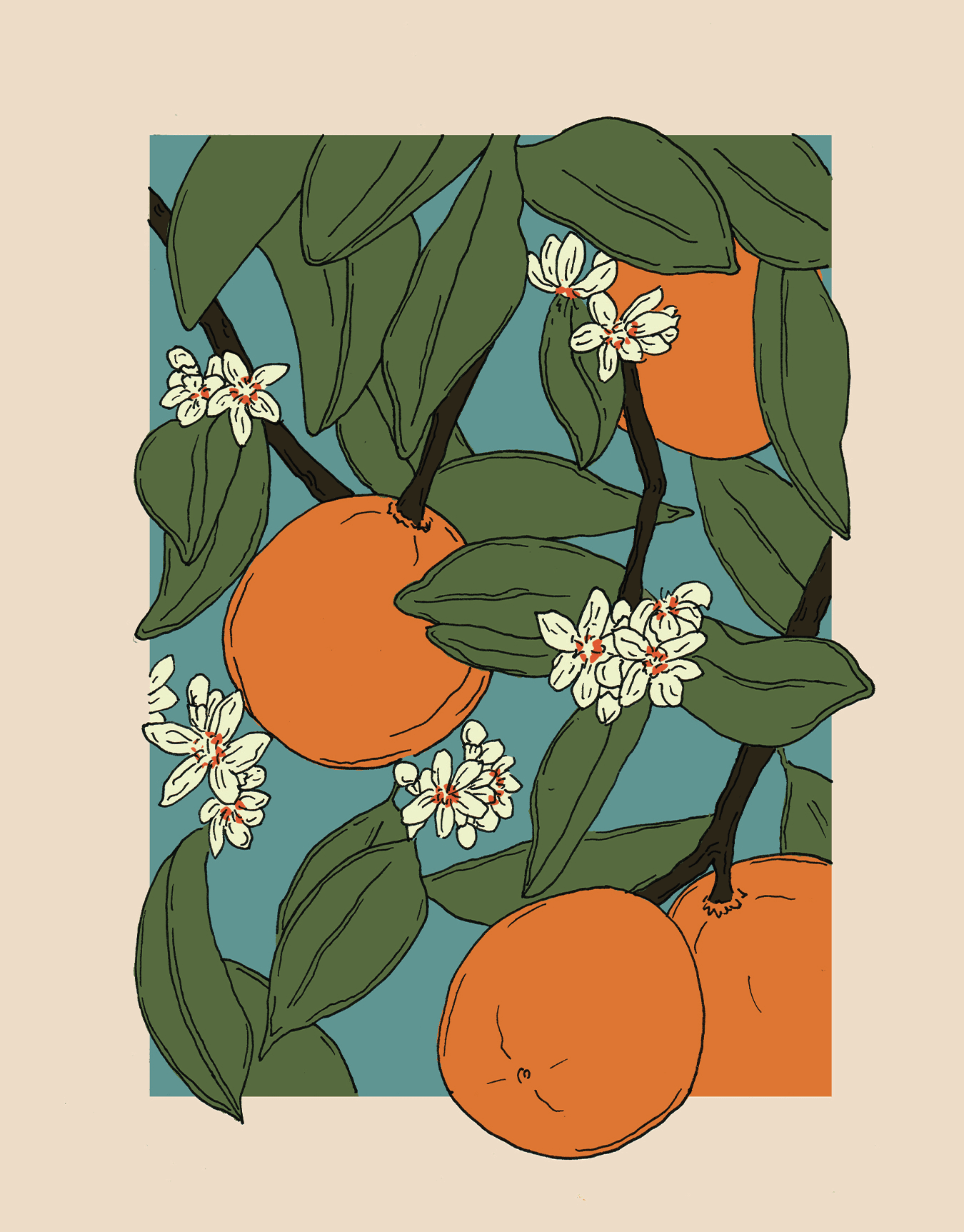 Oranges