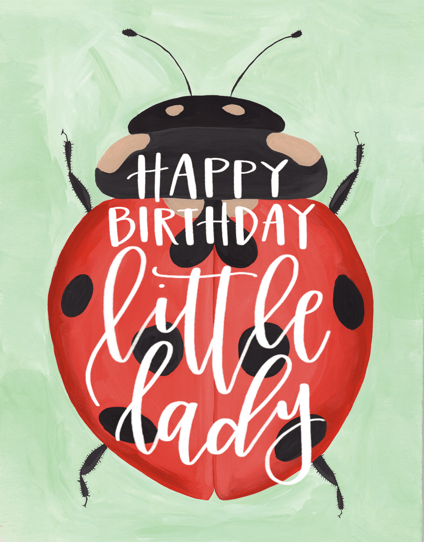 Lady Bug