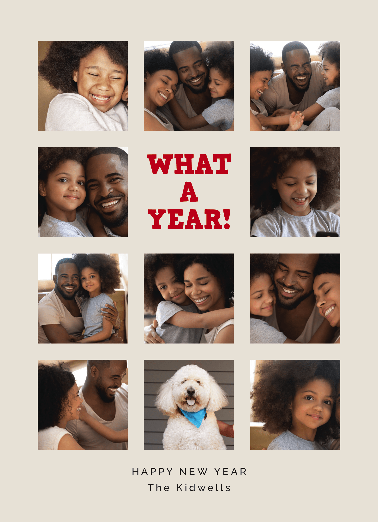 Big Year Overview