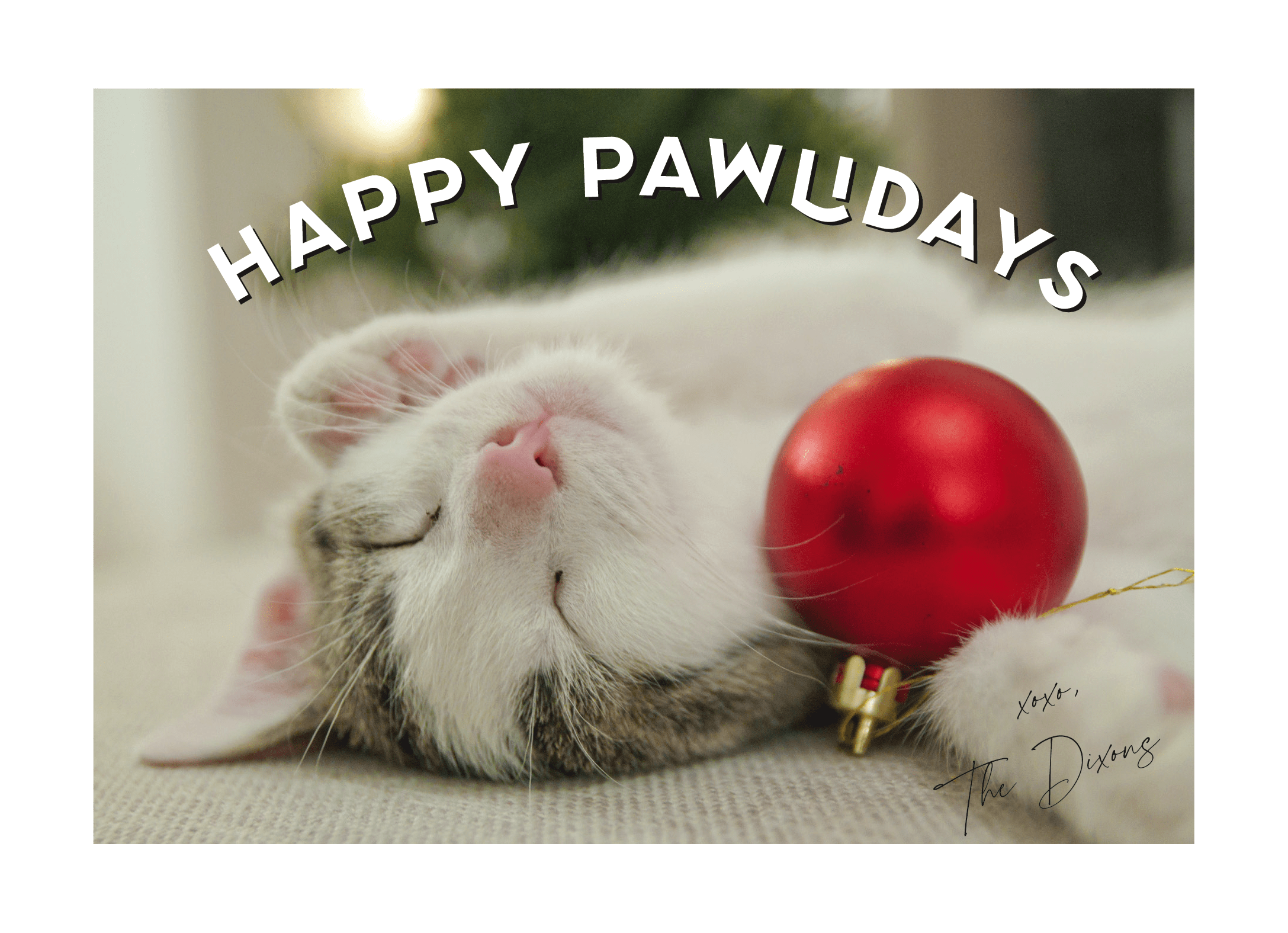Happy Pawlidays 