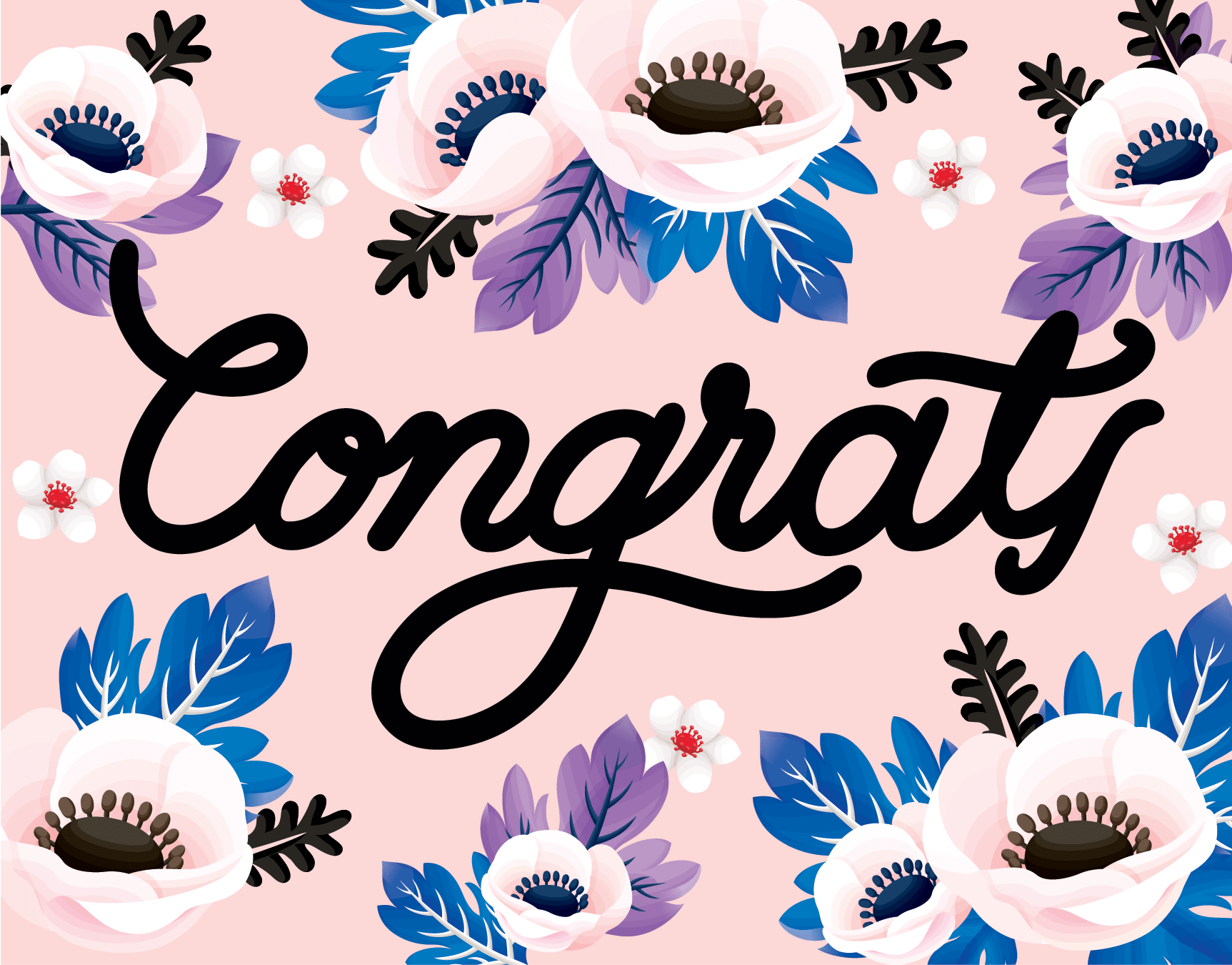 Anemone Congrats