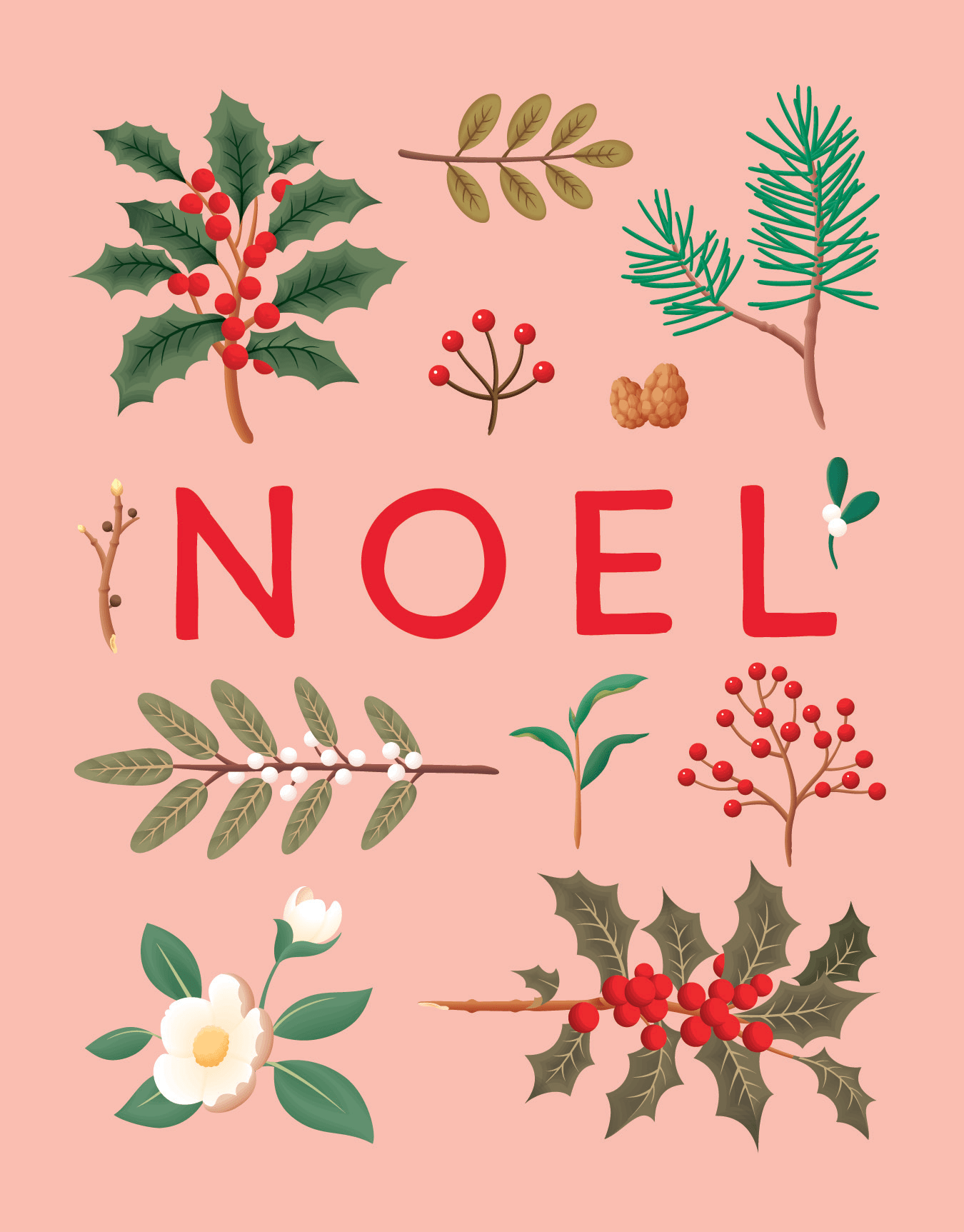 Noel