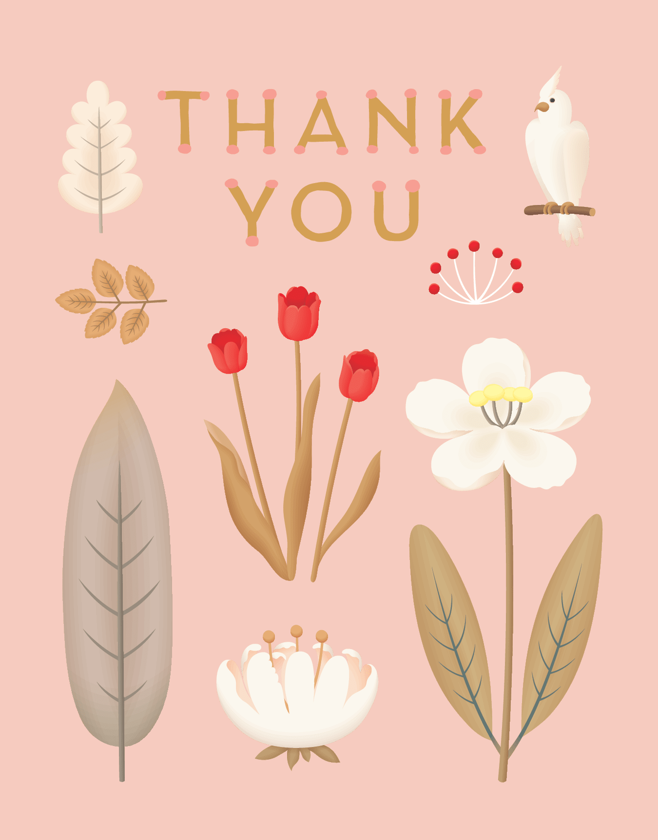 Little Bird Thank You