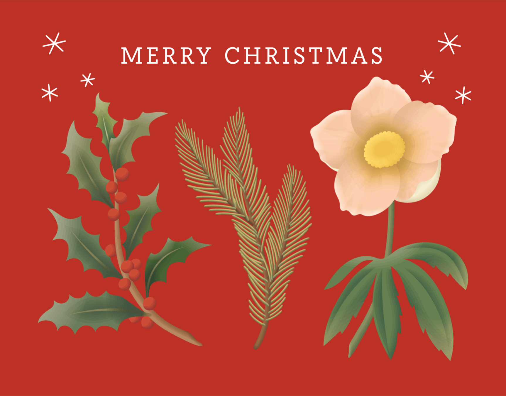 Red Festive Holiday Plants
