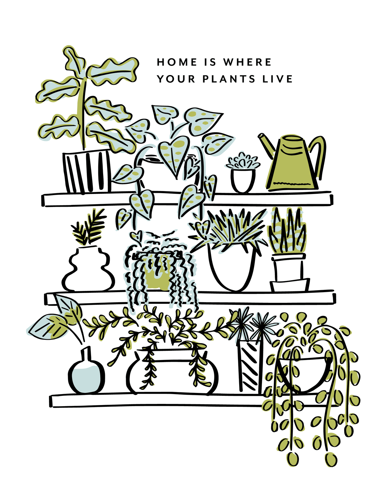 Home Plant