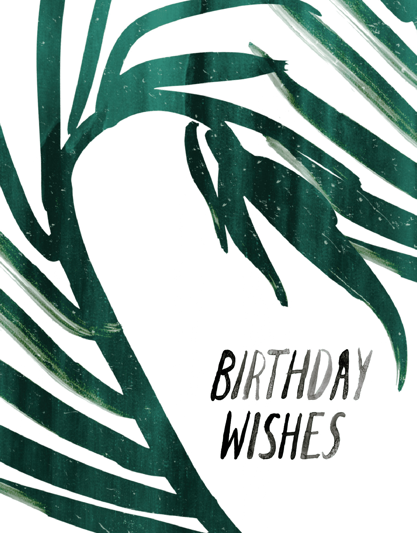 Birthday Wishes